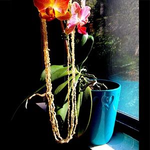 Luminous 24” freshwater 4 strand seed pearls with gold safety clasp - glow up.